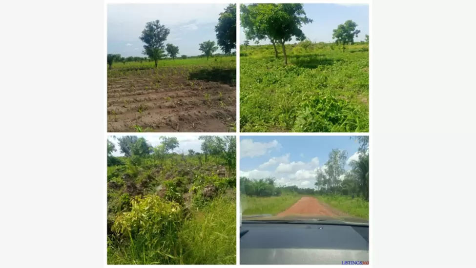 2,400,000 F 97 hectares agricole avec titre foncier situés à Agbélouvé-Gapé-kopé à 6km de la N1